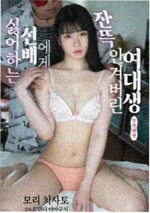 蝴蝶影视推荐剧集：后翼弃兵